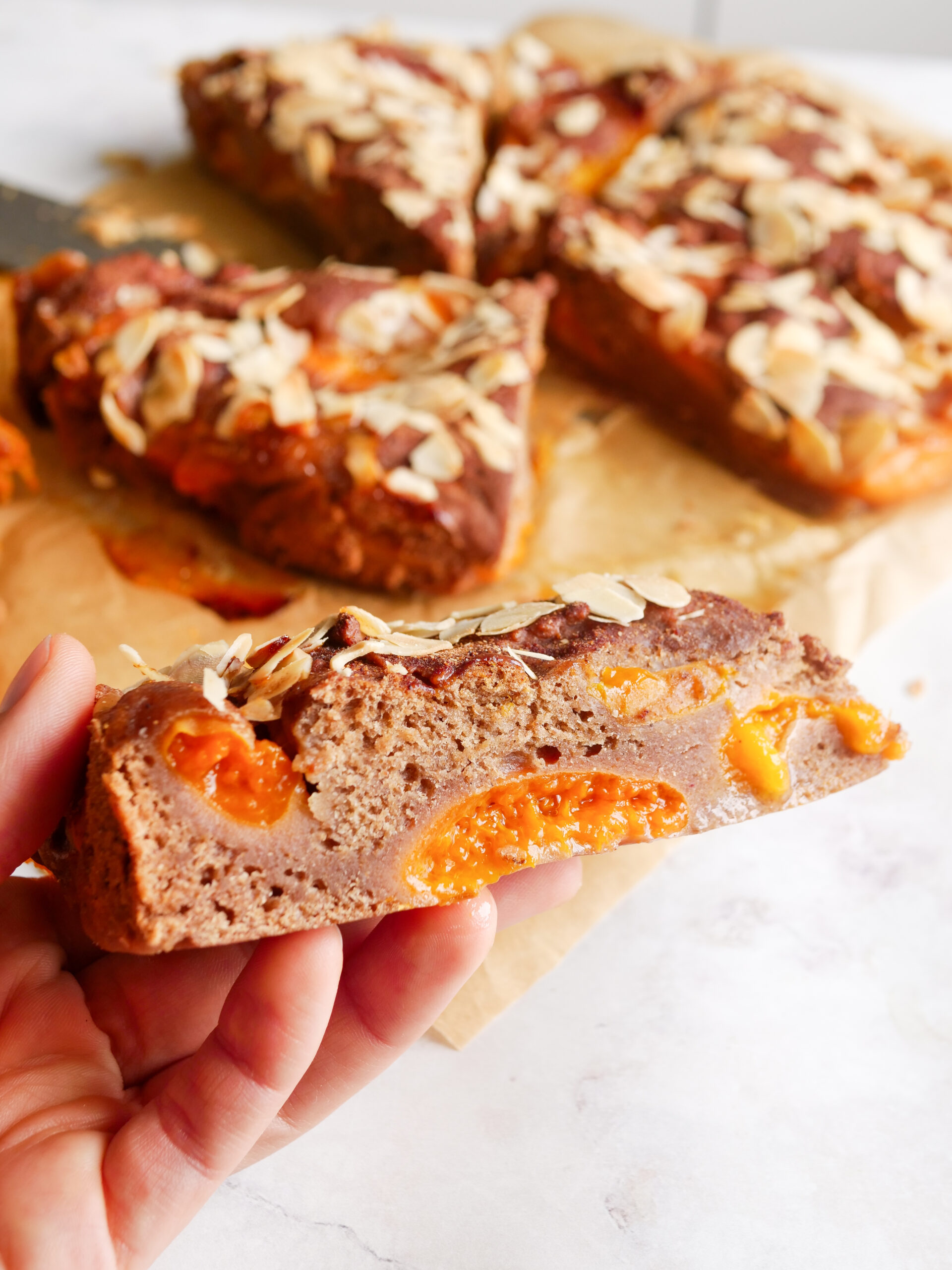 Stück vom Aprikosenkuchen von der Seite fotografiert, man sieht den fluffigen Anschnitt vom Kuchen